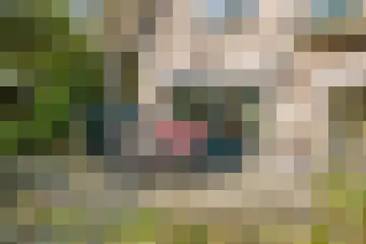 Valkenberglaan 37 Apeldoorn thumbnail 63
