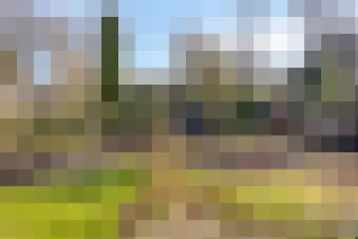 Valkenberglaan 37 Apeldoorn thumbnail 65