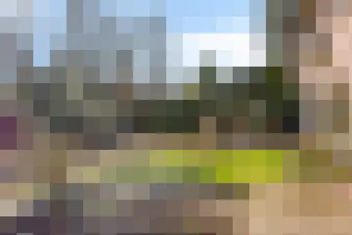 Valkenberglaan 37 Apeldoorn thumbnail 66