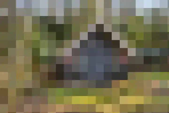 Valkenberglaan 37 Apeldoorn thumbnail 69