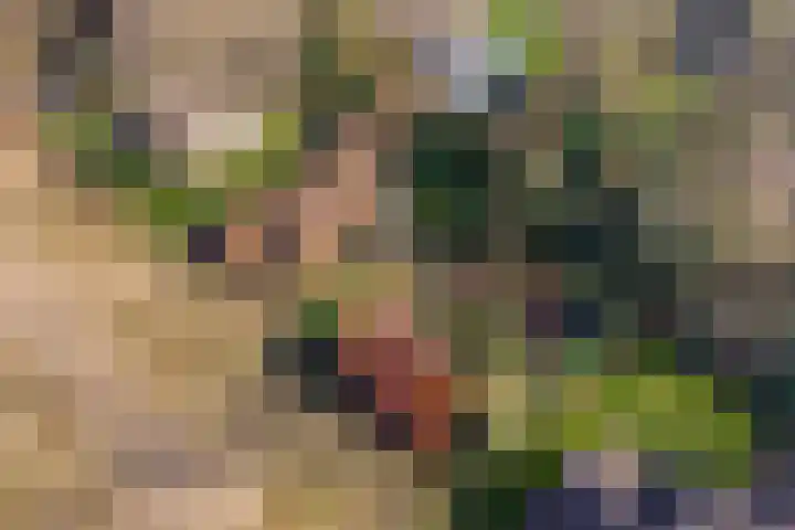 Valkenberglaan 37 Apeldoorn thumbnail 8