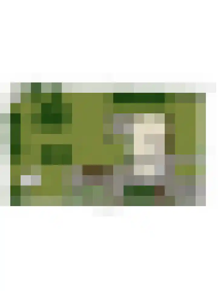 Valkenberglaan 37 Apeldoorn thumbnail 80