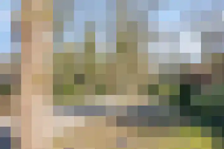 Valkenberglaan 37 Apeldoorn thumbnail 9