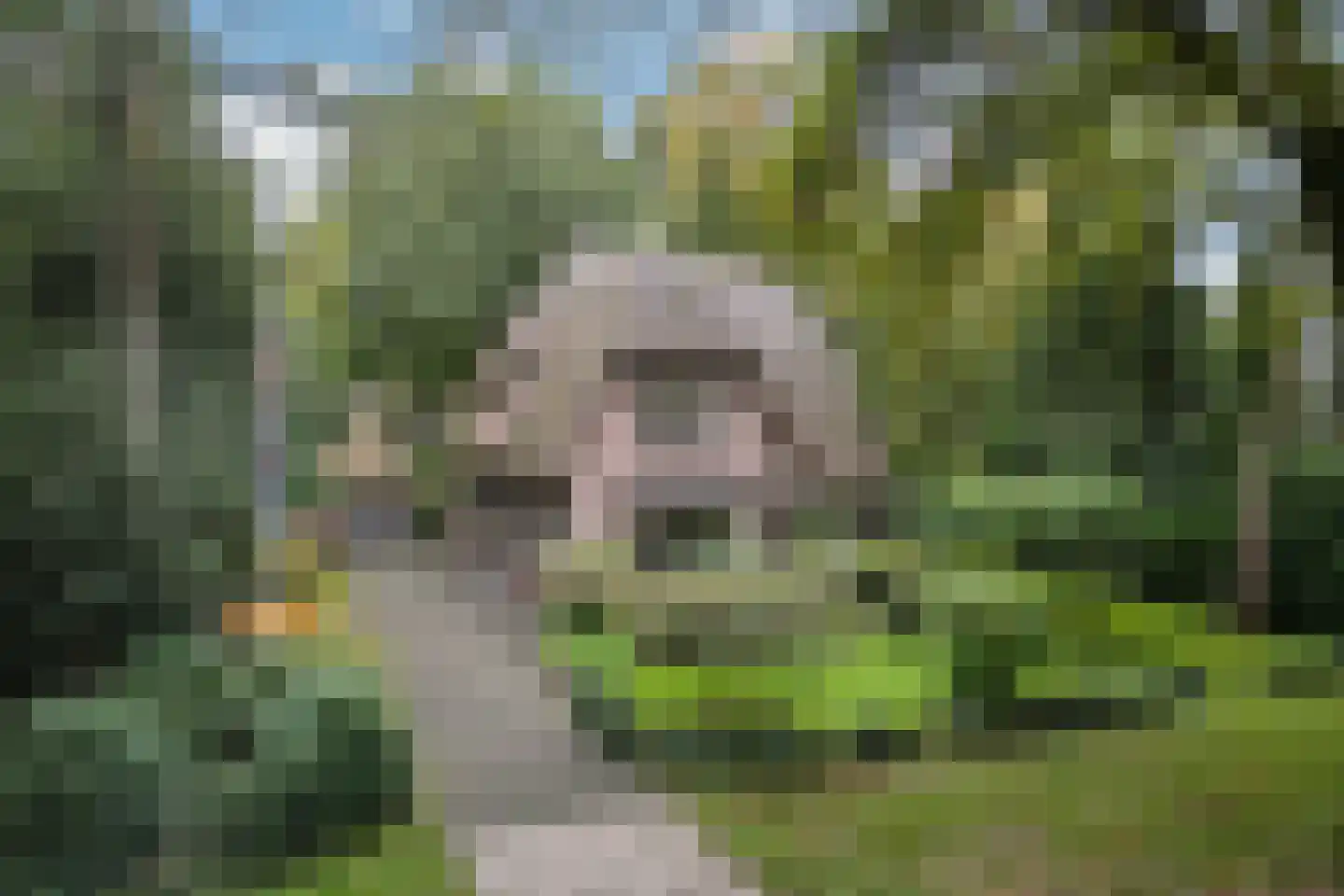 Valkenberglaan 38 Apeldoorn thumbnail 22