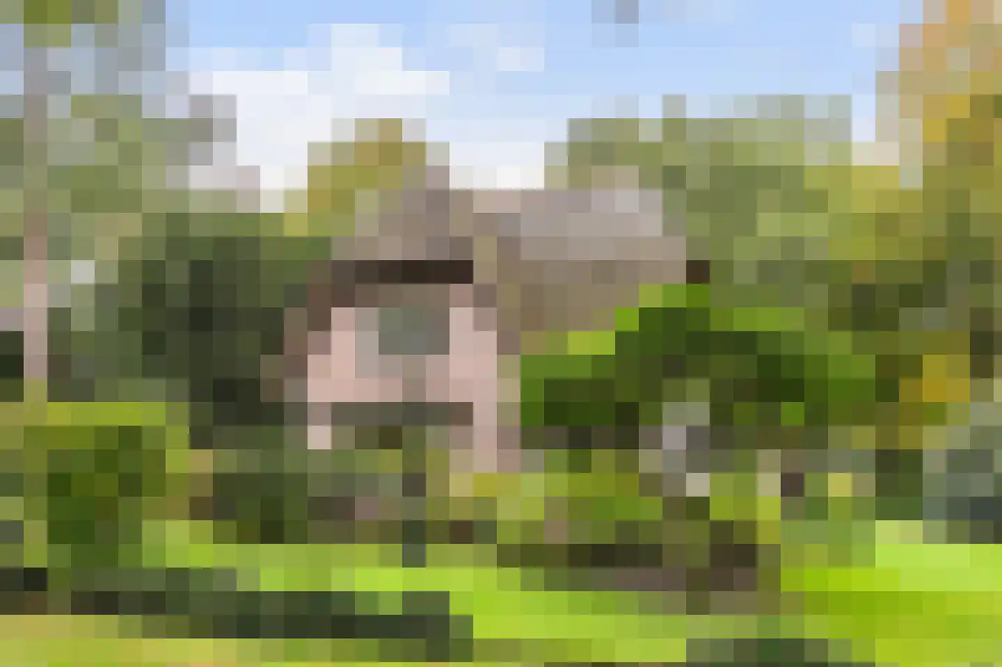 Valkenberglaan 38 Apeldoorn thumbnail 23