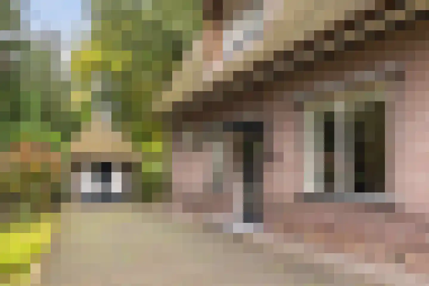 Valkenberglaan 38 Apeldoorn thumbnail 24