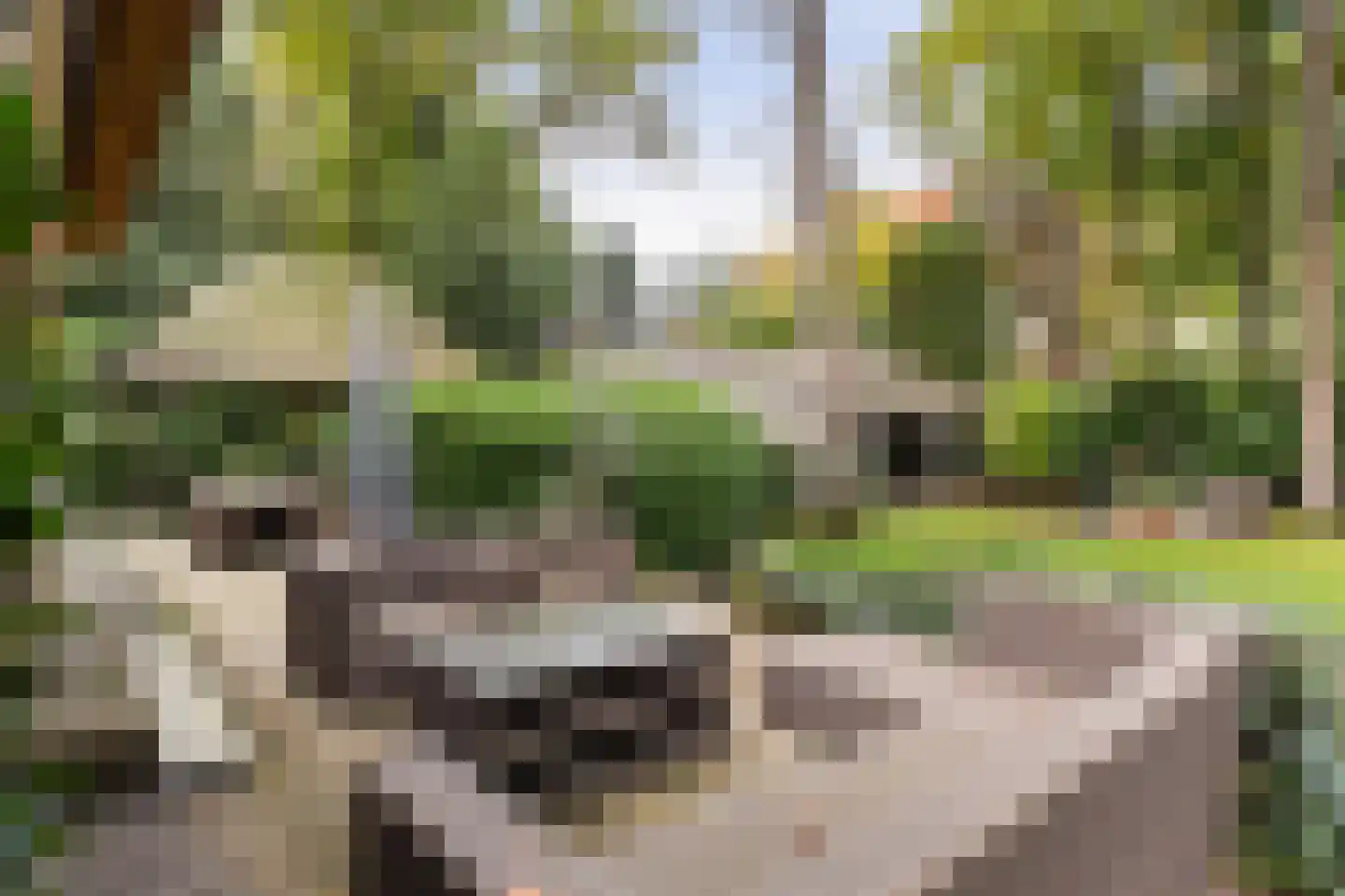Valkenberglaan 38 Apeldoorn thumbnail 26