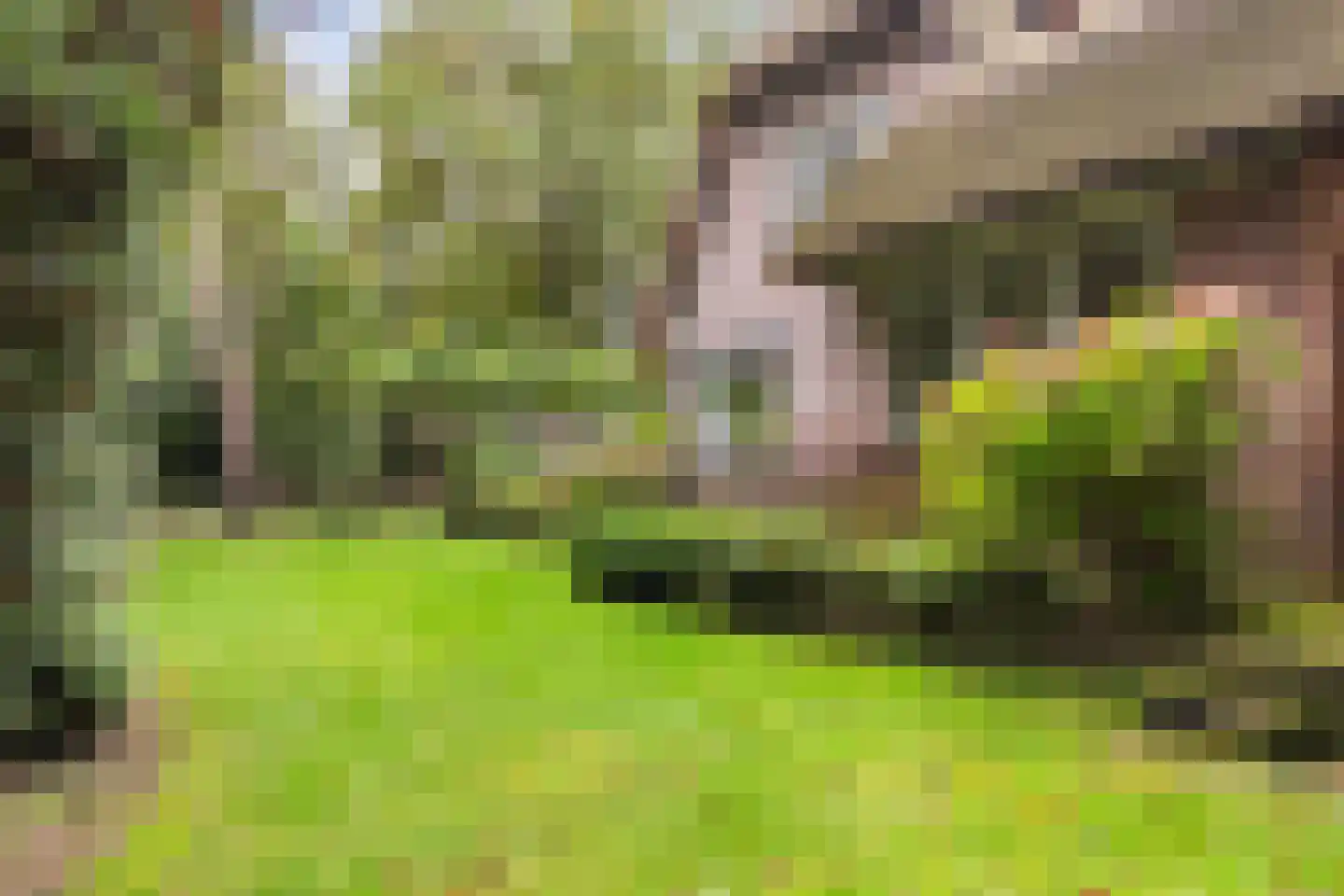 Valkenberglaan 38 Apeldoorn thumbnail 28