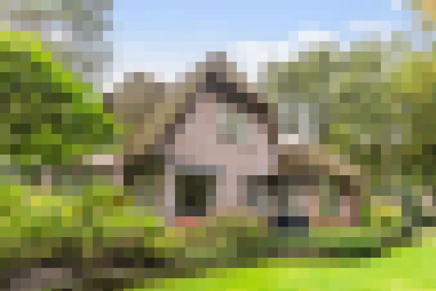 Valkenberglaan 38 Apeldoorn thumbnail 29