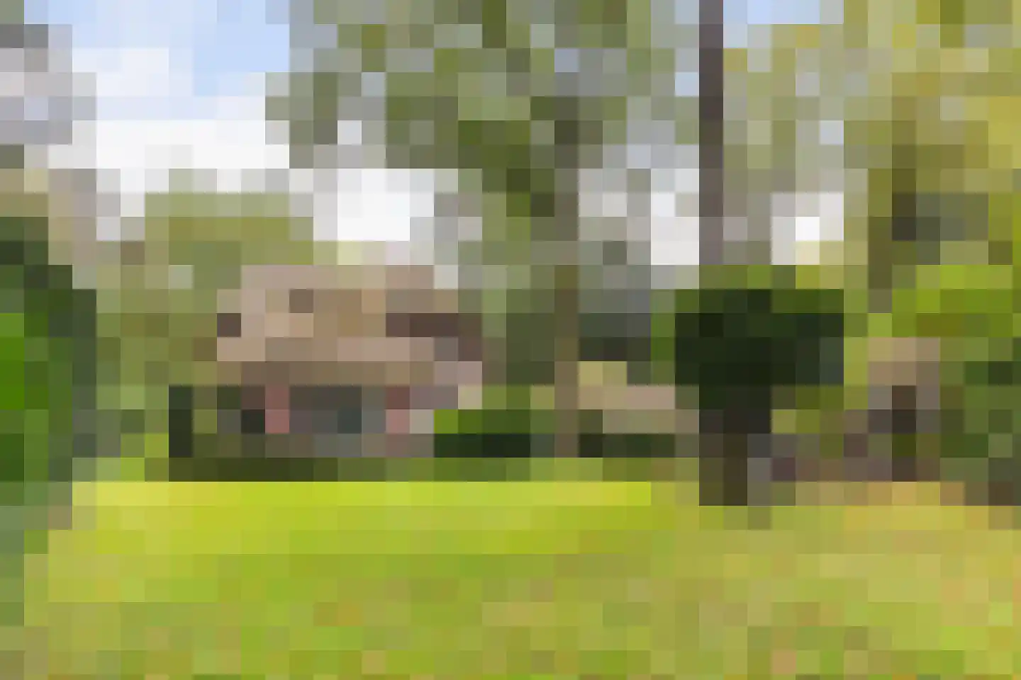 Valkenberglaan 38 Apeldoorn thumbnail 30