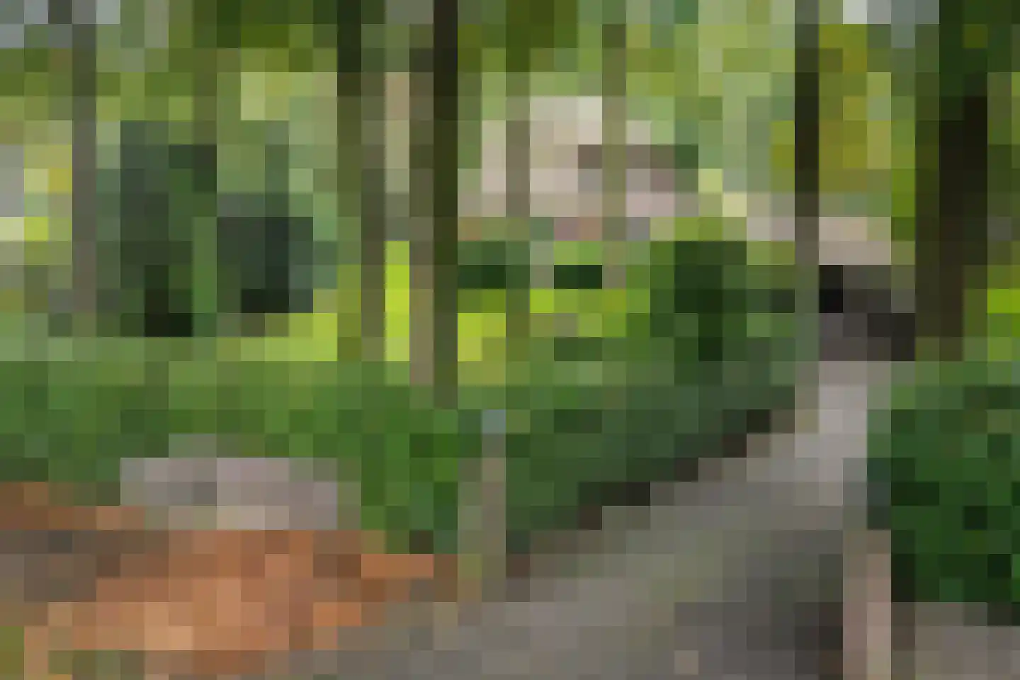 Valkenberglaan 38 Apeldoorn thumbnail 32