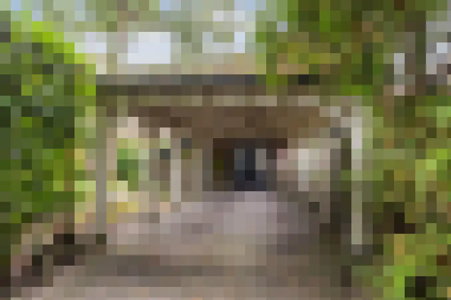 Valkenberglaan 38 Apeldoorn thumbnail 4