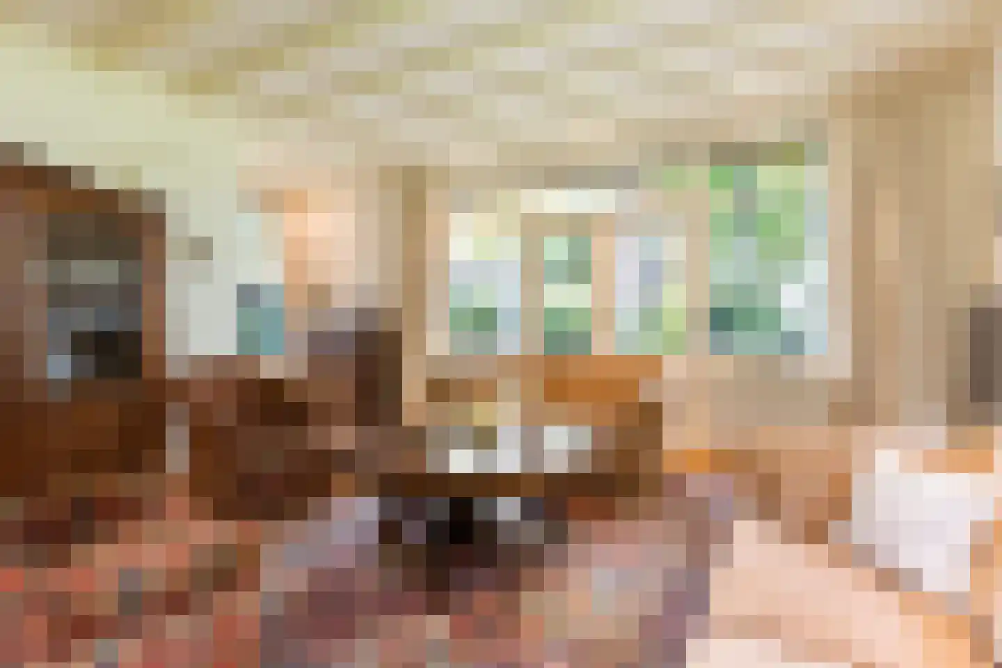 Valkenberglaan 38 Apeldoorn thumbnail 6