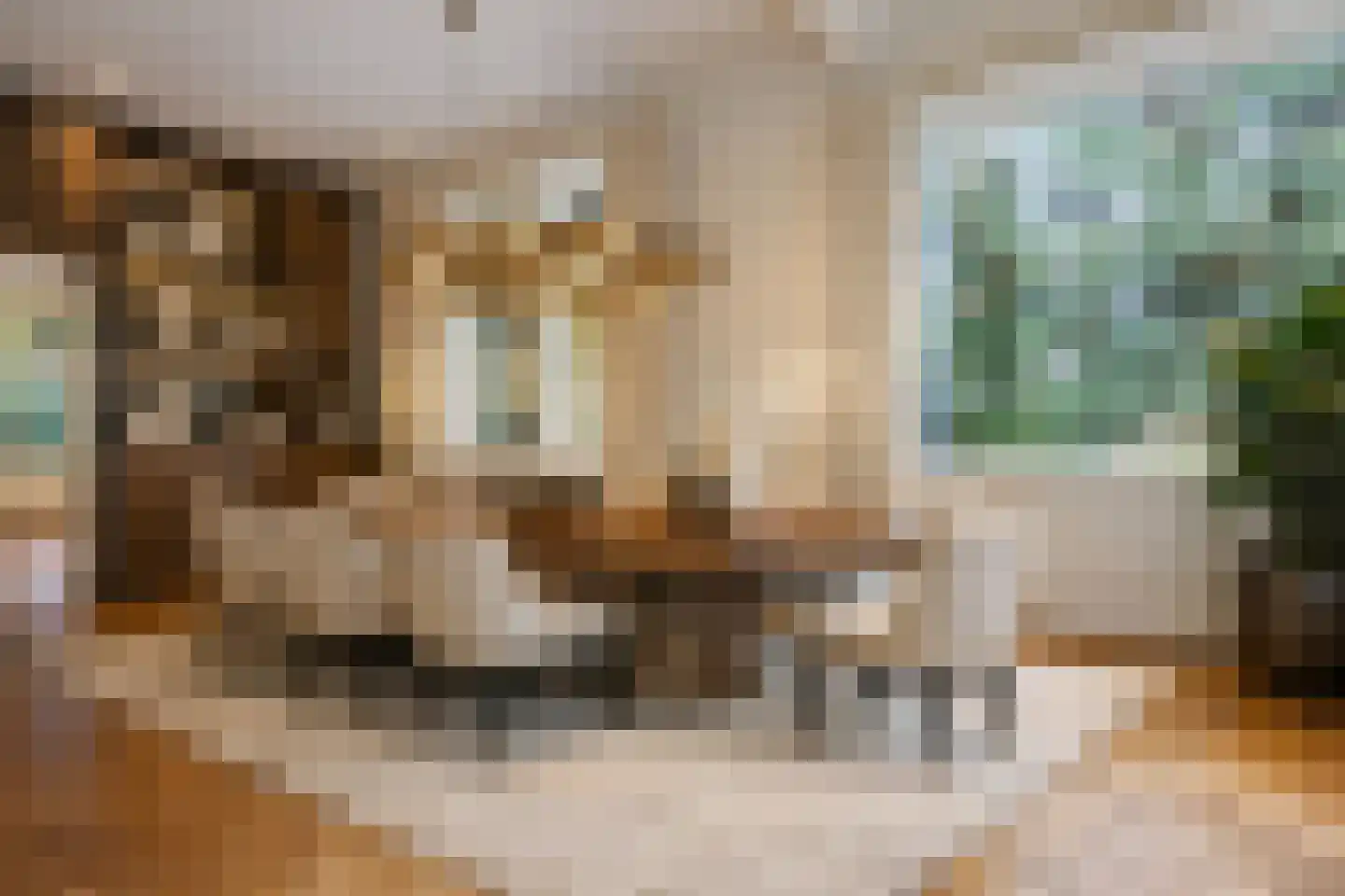 Valkenberglaan 38 Apeldoorn thumbnail 9