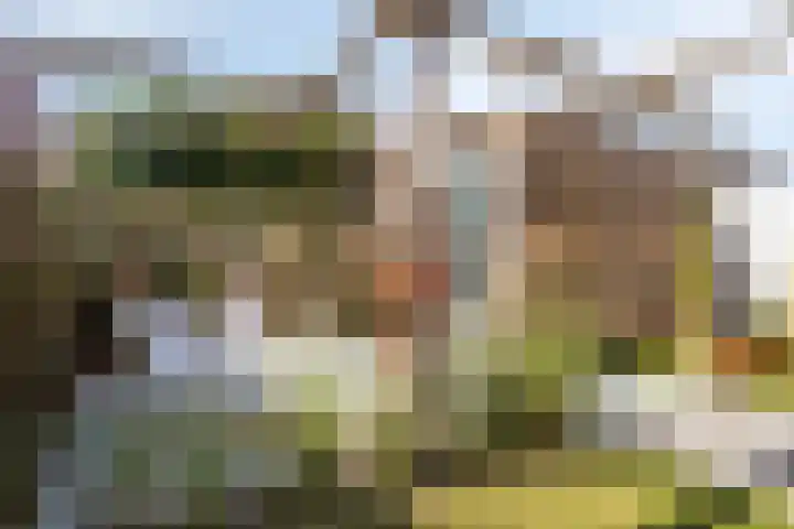 Valkenbergse Amer 14 Willemstad thumbnail 33