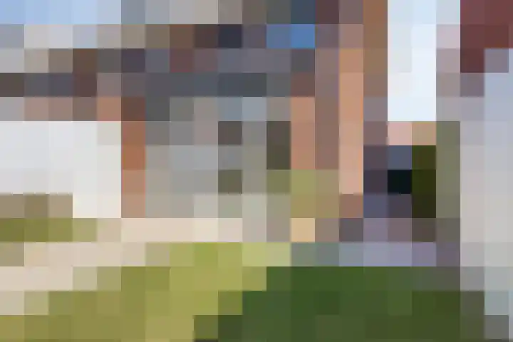 Valkenbergse Amer 14 Willemstad thumbnail 34