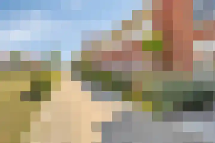 Valkenbergse Amer 14 Willemstad thumbnail 5