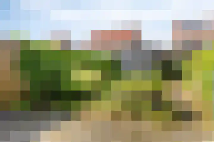 Valkenbergse Amer 22 Willemstad thumbnail 30