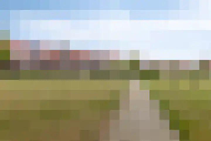 Valkenbergse Amer 22 Willemstad thumbnail 33