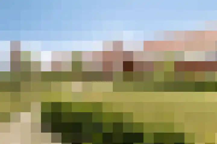 Valkenbergse Amer 22 Willemstad thumbnail 34