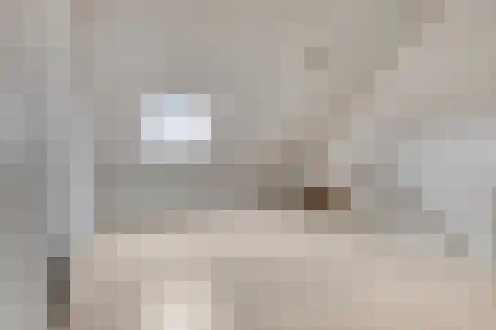 Valkenbergse Amer 22 Willemstad thumbnail 5