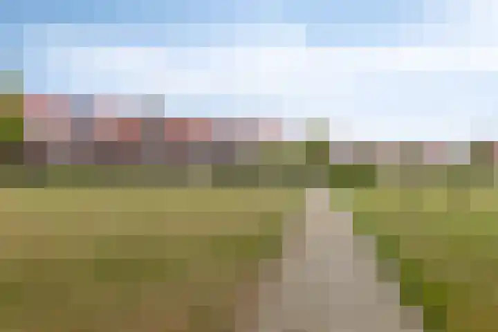 Valkenbergse Amer 22 Willemstad thumbnail 6