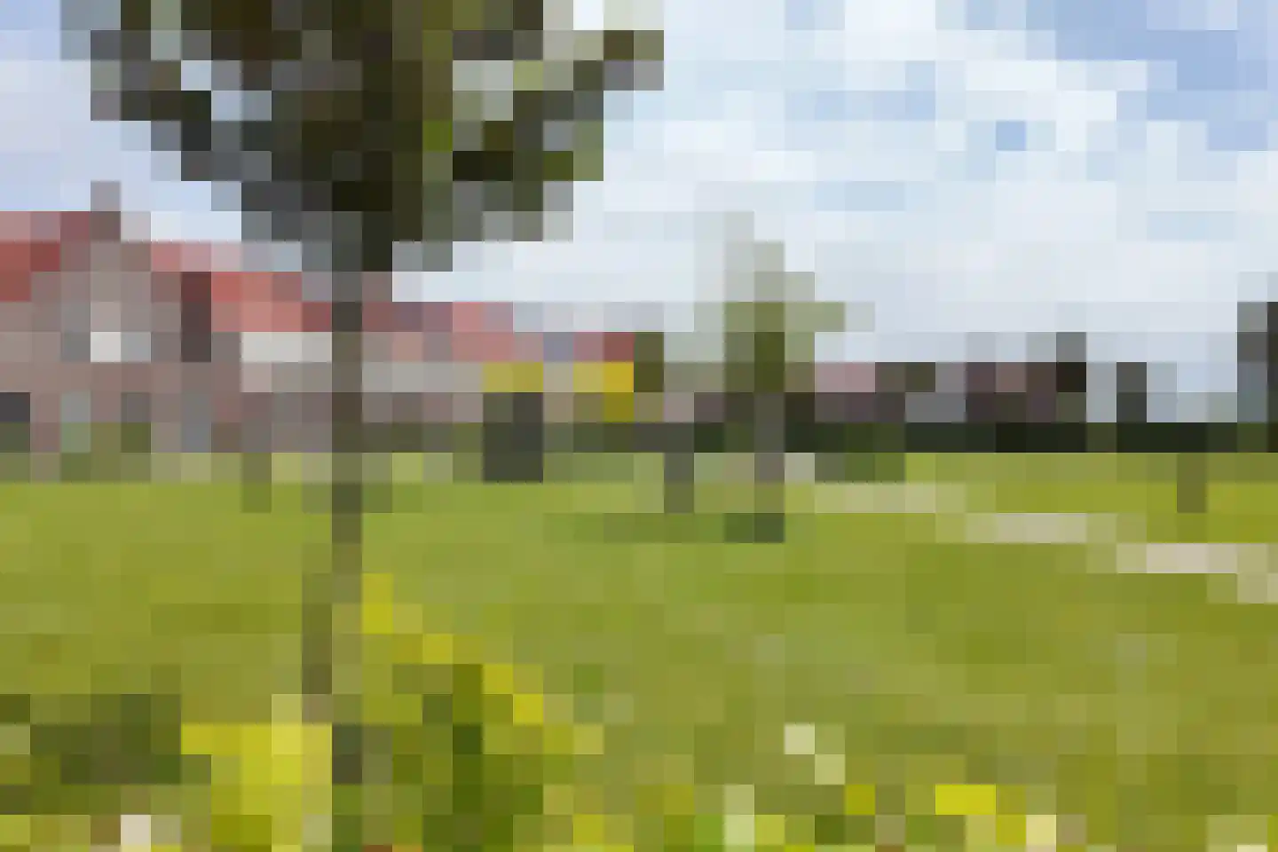 Valkenbergse Amer 6 Willemstad thumbnail 66