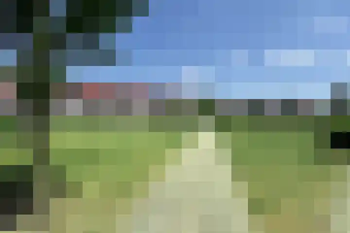 Valkenbergse Amer 8 Willemstad thumbnail 59