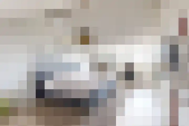 Valkenbergse Amer 8 Willemstad thumbnail 6