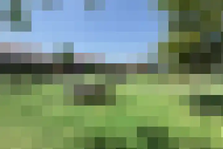 Valkenbergse Amer 8 Willemstad thumbnail 63