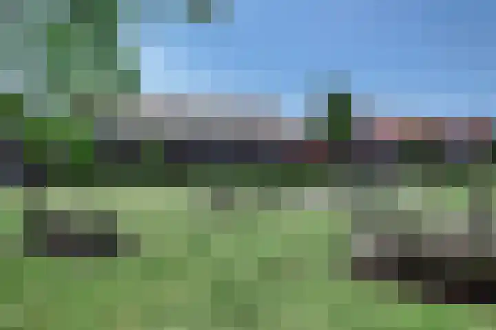 Valkenbergse Amer 8 Willemstad thumbnail 64