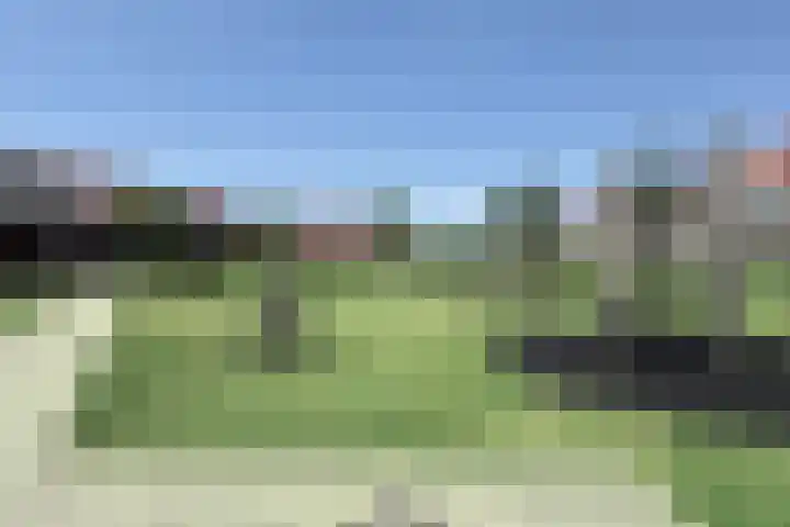 Valkenbergse Amer 8 Willemstad thumbnail 65