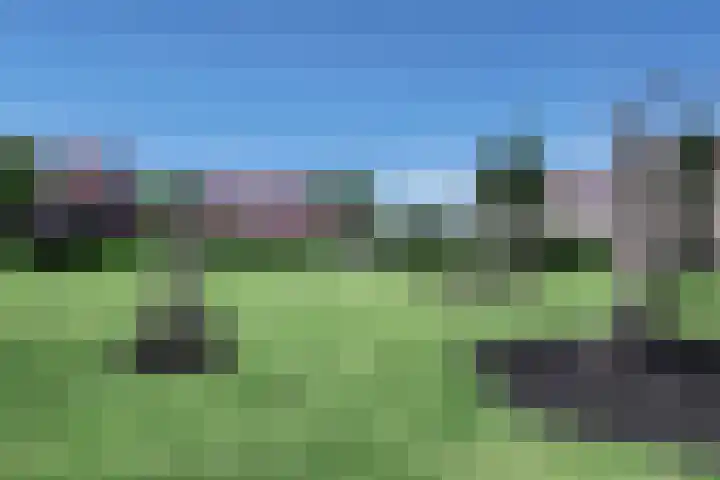 Valkenbergse Amer 8 Willemstad thumbnail 66