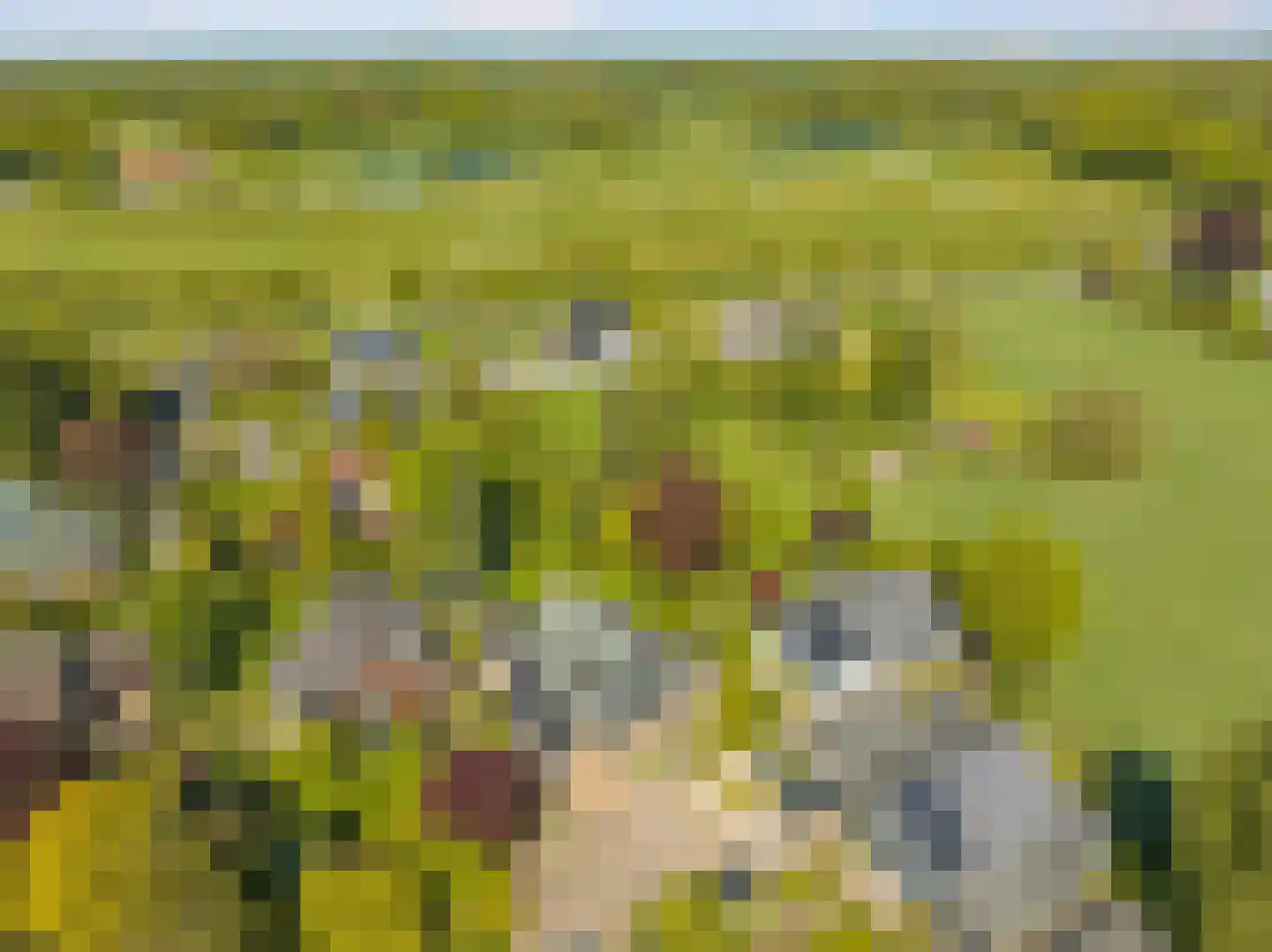 Valkenbos 14 Hoog-Keppel thumbnail 4