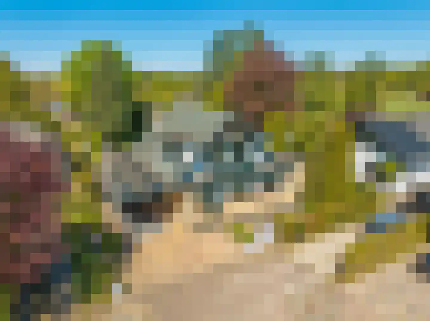 Valkenbos 14 Hoog-Keppel thumbnail 5