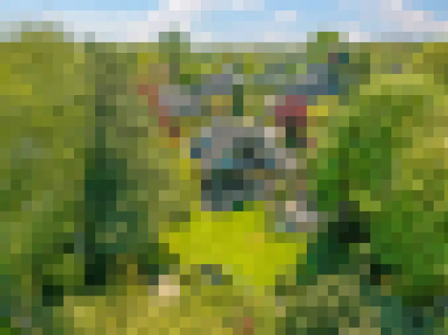 Valkenbos 14 Hoog-Keppel thumbnail 53