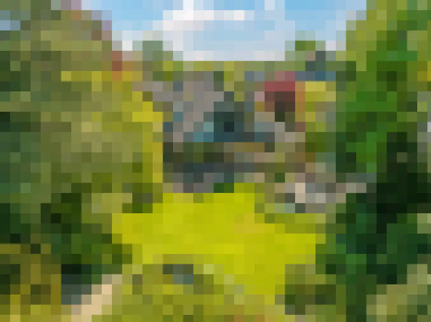 Valkenbos 14 Hoog-Keppel thumbnail 54
