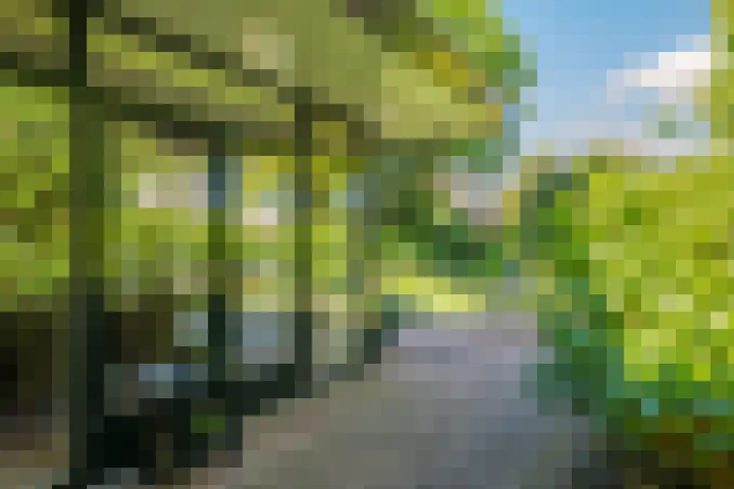 Valkenbos 14 Hoog-Keppel thumbnail 68