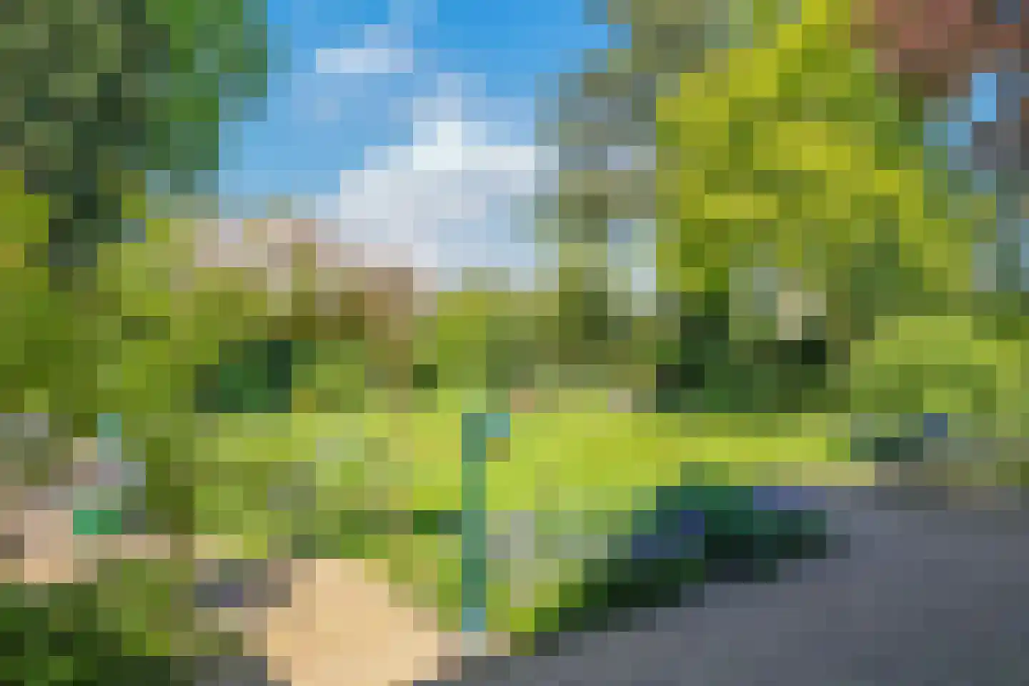Valkenbos 14 Hoog-Keppel thumbnail 69