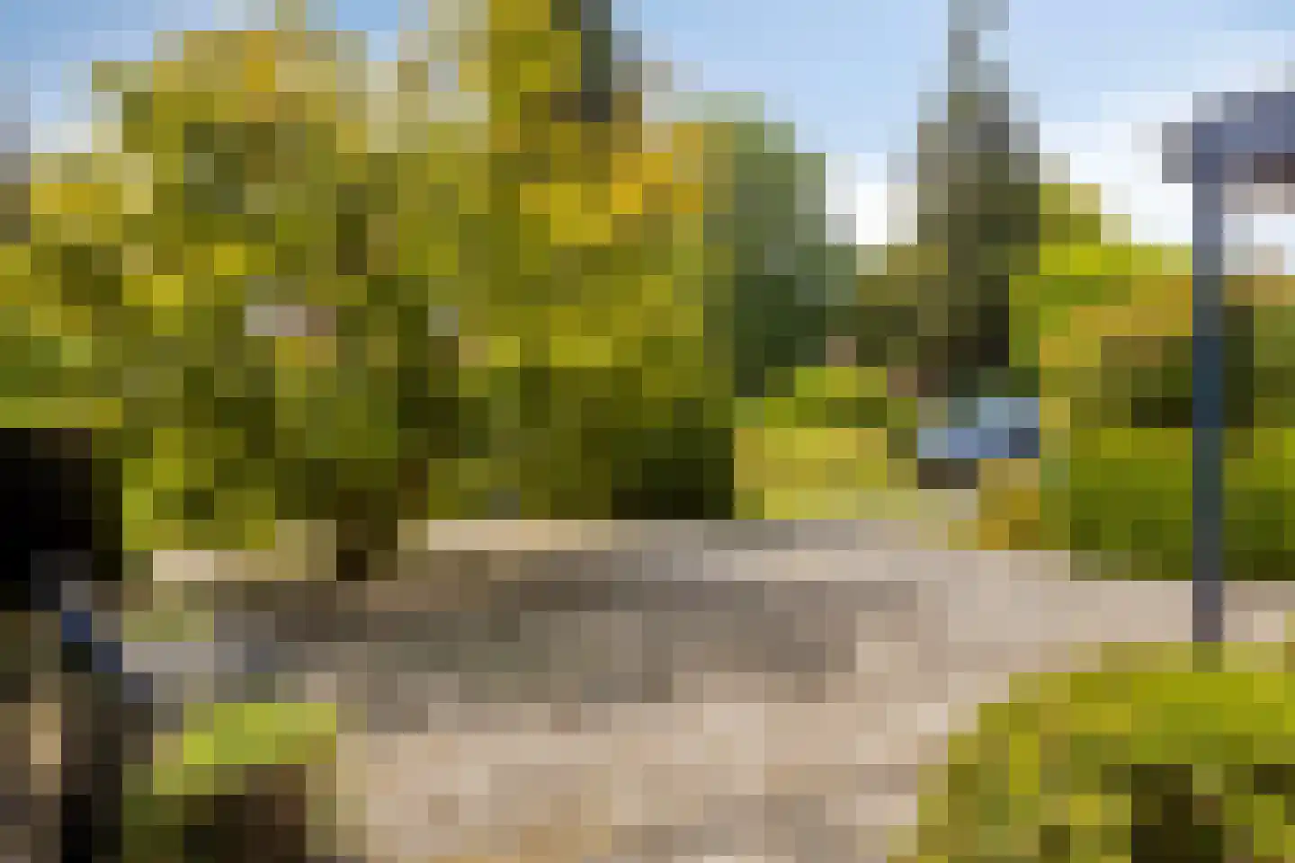 Valkenbos 17 Hoog-Keppel thumbnail 10