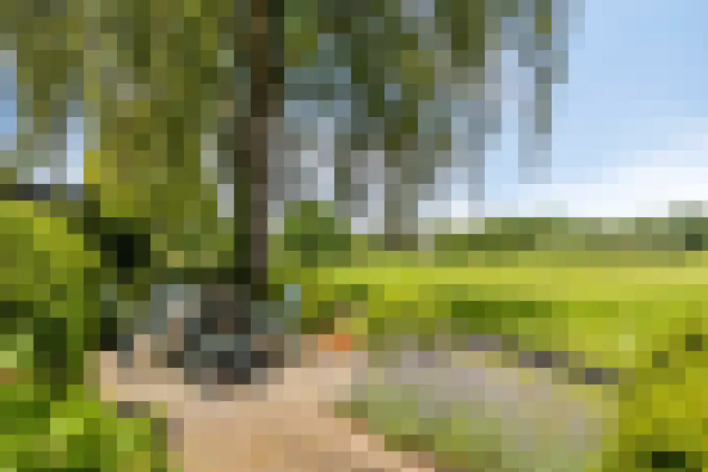 Valkenbos 17 Hoog-Keppel thumbnail 44