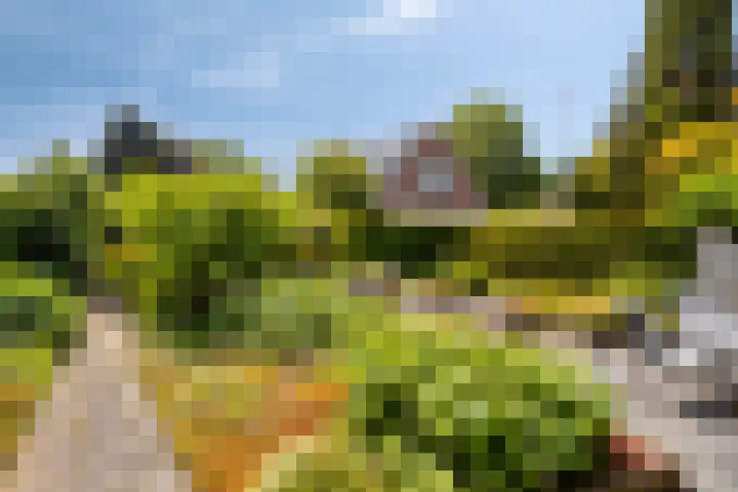 Valkenbos 17 Hoog-Keppel thumbnail 49