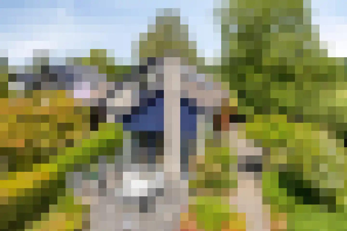 Valkenbos 17 Hoog-Keppel thumbnail 50