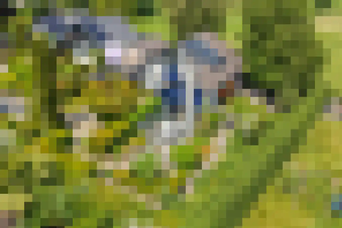 Valkenbos 17 Hoog-Keppel thumbnail 6
