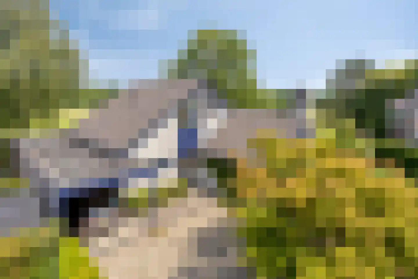 Valkenbos 17 Hoog-Keppel thumbnail 9