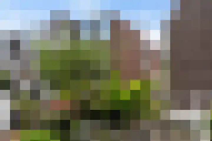 Valkenboskade 135 Den Haag thumbnail 25