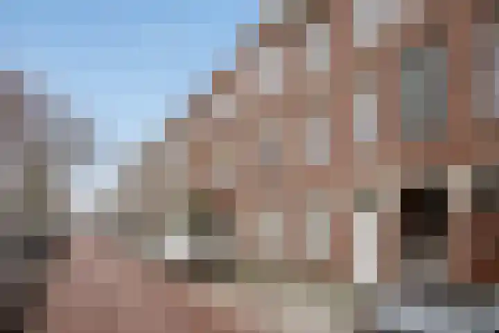 Valkenboskade 204 Den Haag thumbnail 31
