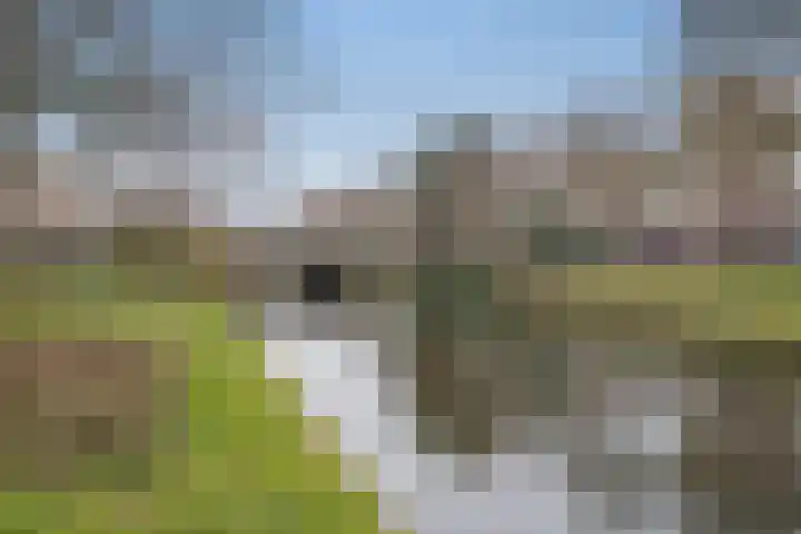 Valkenboskade 204 Den Haag thumbnail 32