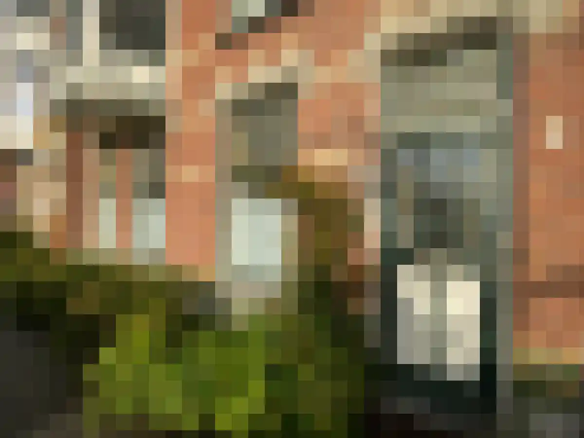 Valkenboskade 205 Den Haag thumbnail 4
