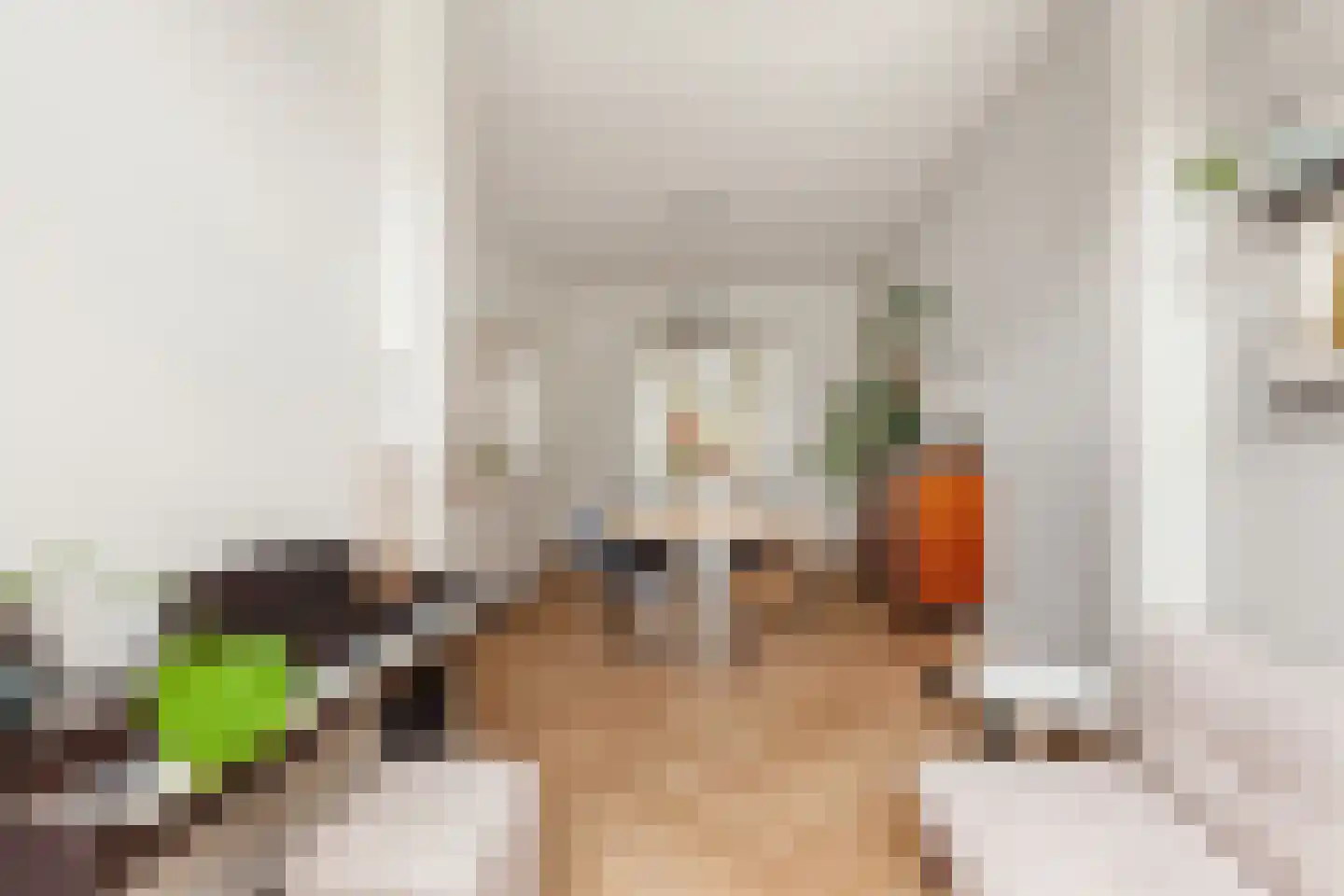 Valkenboskade 229 Den Haag thumbnail 17